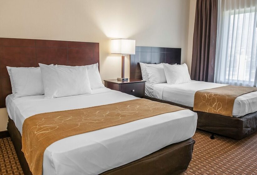 جناح لذوى الاحتياجات الخاصة, Comfort Suites