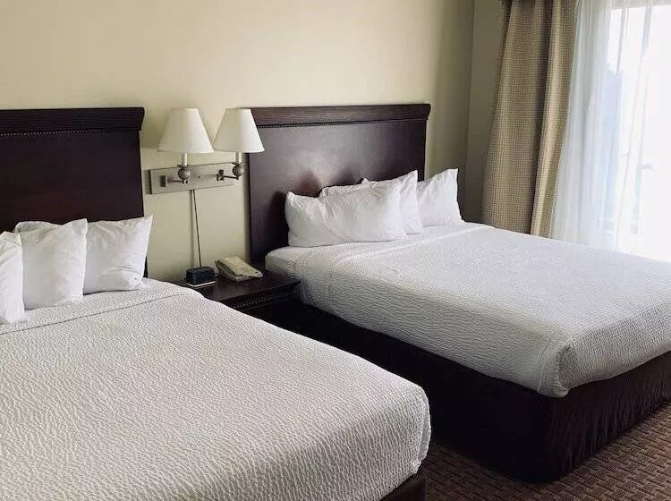 スイート, Eurosuites