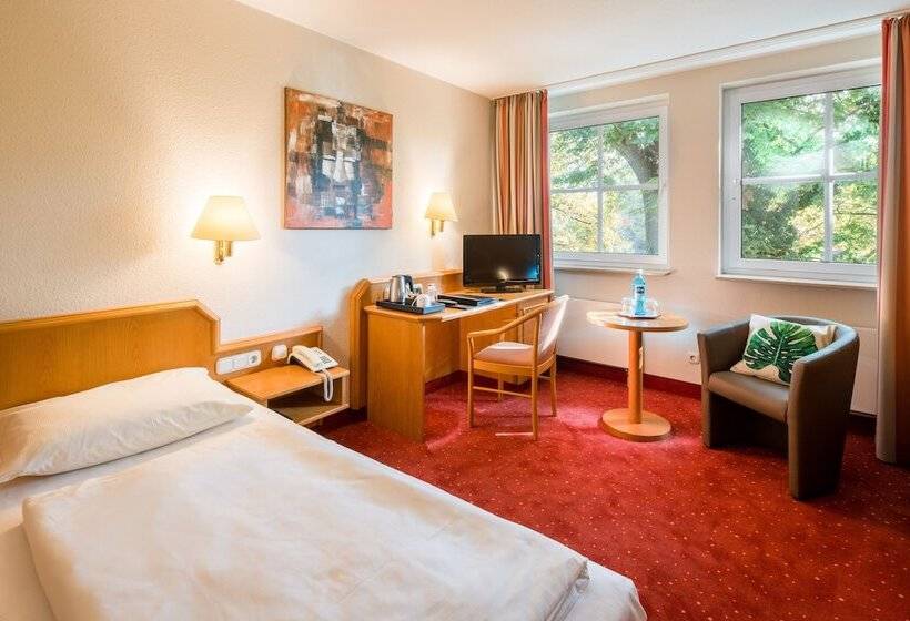 舒适型单人间, Parkhotel Diani