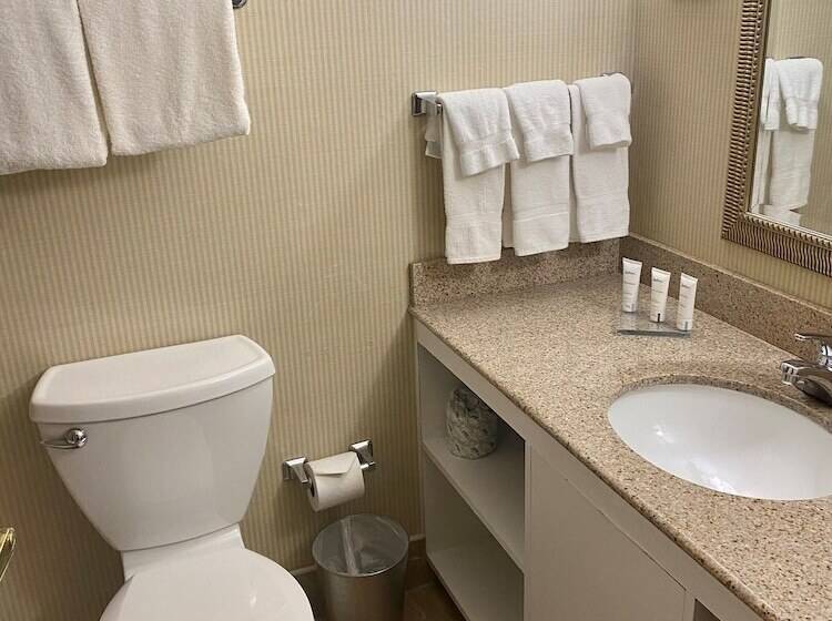 Номер Стандарт 2 Двуспальные Кровати, Radisson Hotel Philadelphia Northeast