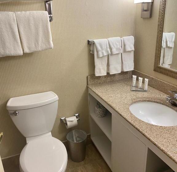 Номер Стандарт 2 Двуспальные Кровати, Radisson Hotel Philadelphia Northeast