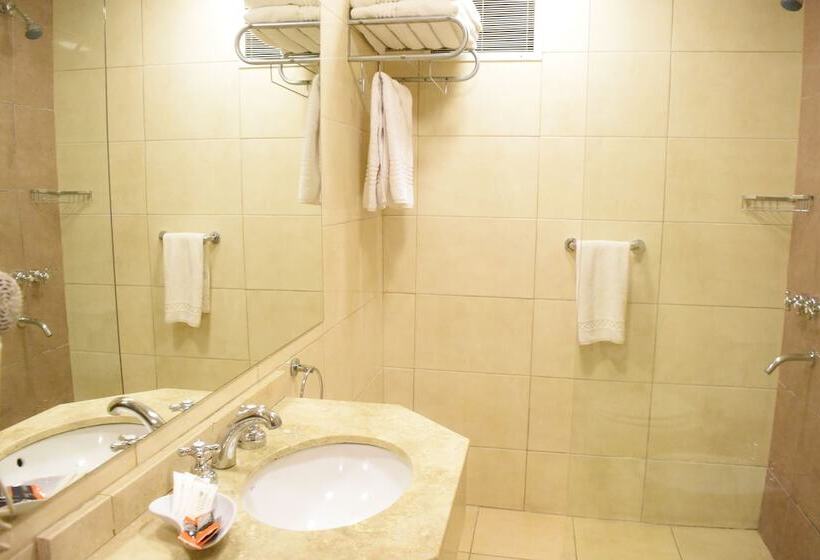 חדר סטנדרט, Ritz Hotel Mendoza