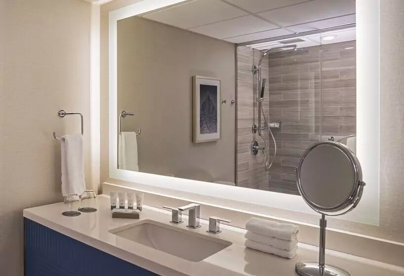 デラックスルーム, The Westin Oaks Houston At The Galleria