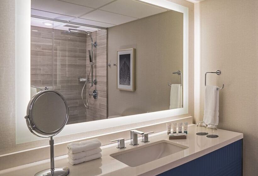 Номер Deluxe, The Westin Oaks Houston At The Galleria