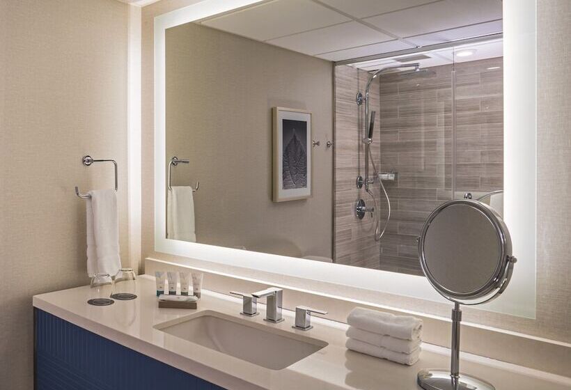 Номер Стандарт Адаптированный для Инвалидов, The Westin Oaks Houston At The Galleria