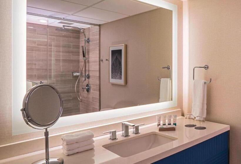 Номер Deluxe Кровать Кинг, The Westin Oaks Houston At The Galleria