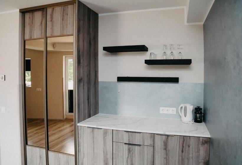 استودیو استاندارد با بالکن, Vesiroos