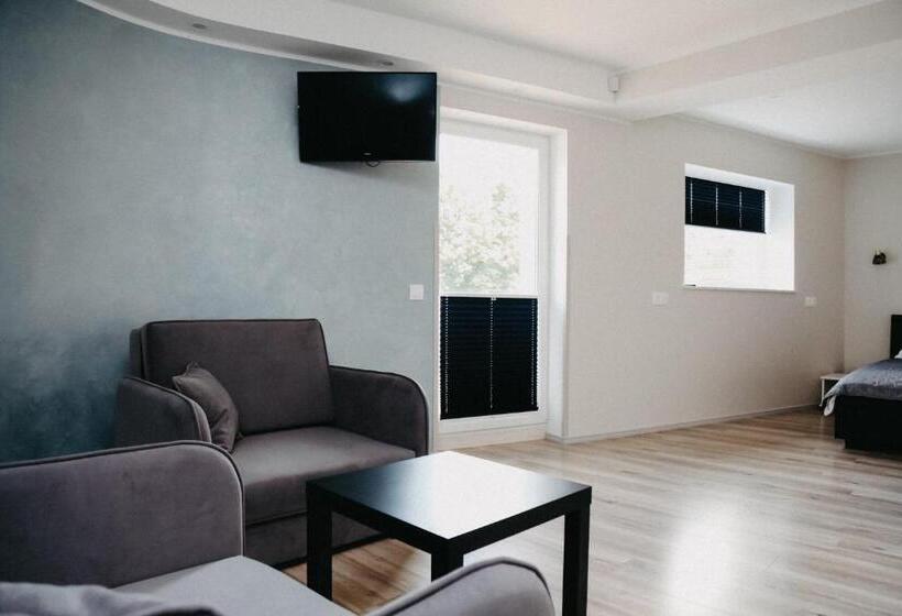 استودیو استاندارد با بالکن, Vesiroos