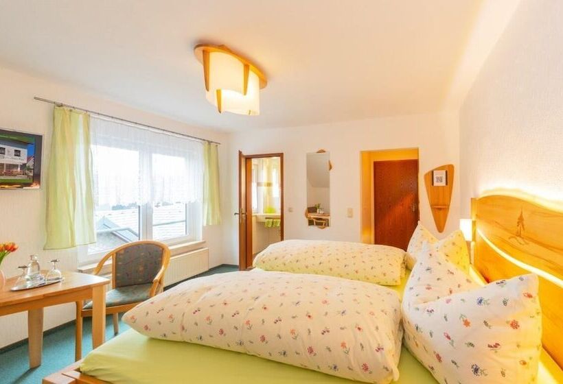 스탠다드 룸, Rennsteighotel Grüner Baum