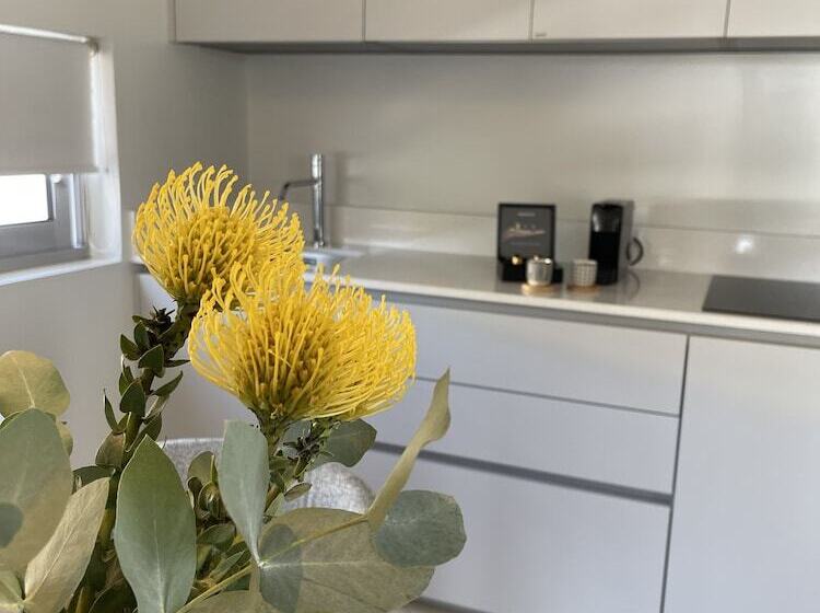 جناح سينيور, Brasil Suites Boutique