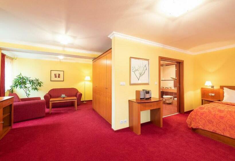 豪华套房, česká Koruna