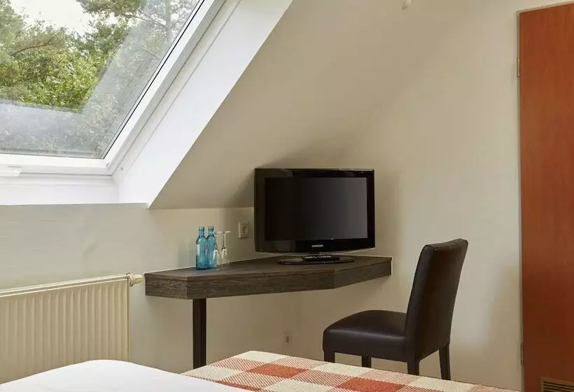 اتاق راحتی یک تخته, H+ Hotel Nürnberg