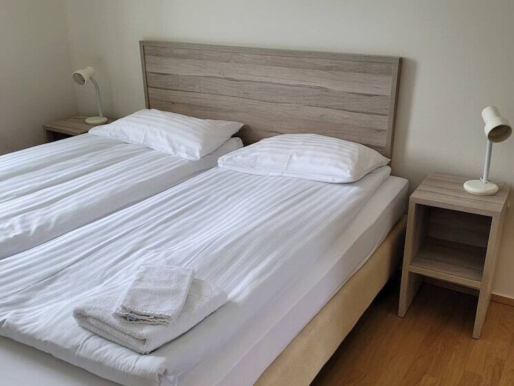 اتاق اکونومی با حمام مشترک, Jokull