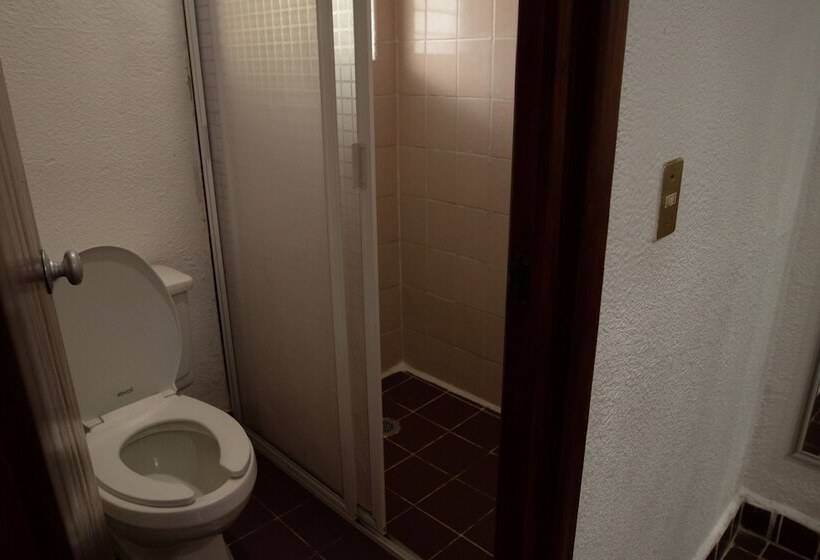 חדר סטנדרט נוף לגינה, Qualton Club Ixtapa All Inclusive