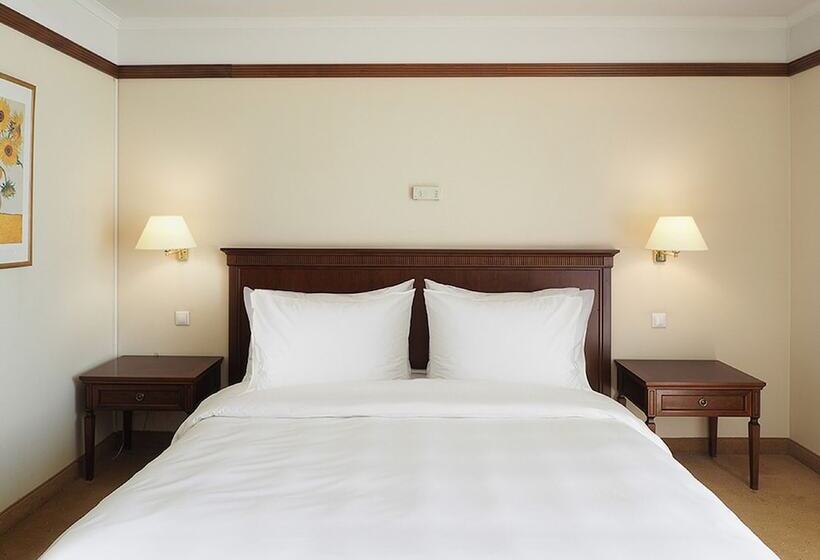 Номер Стандарт Вид на Город, Radisson Slavyanskaya Hotel And Business Centre, Moscow