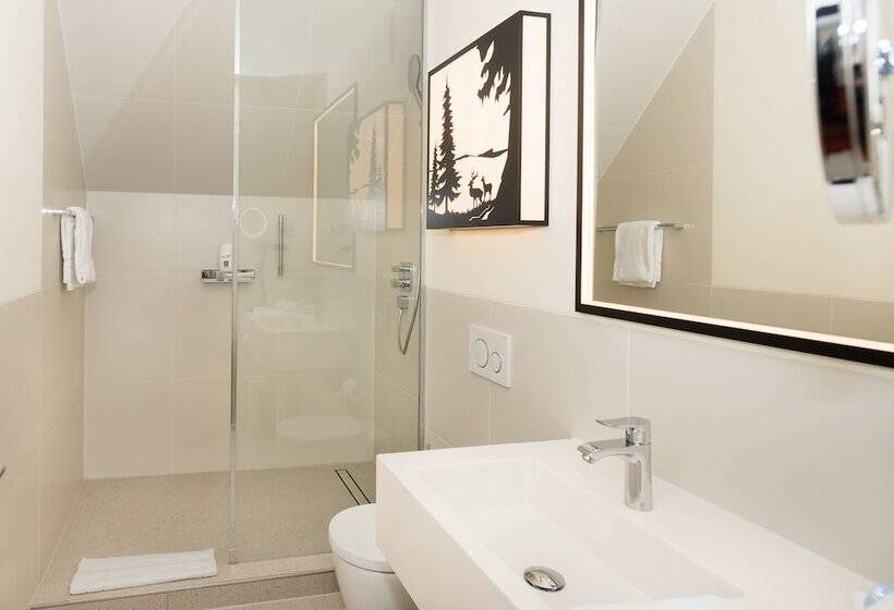 标准间, Parkhotel Rothof