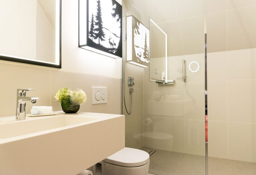 标准间, Parkhotel Rothof