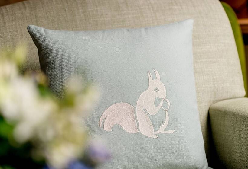 标准间, Parkhotel Rothof