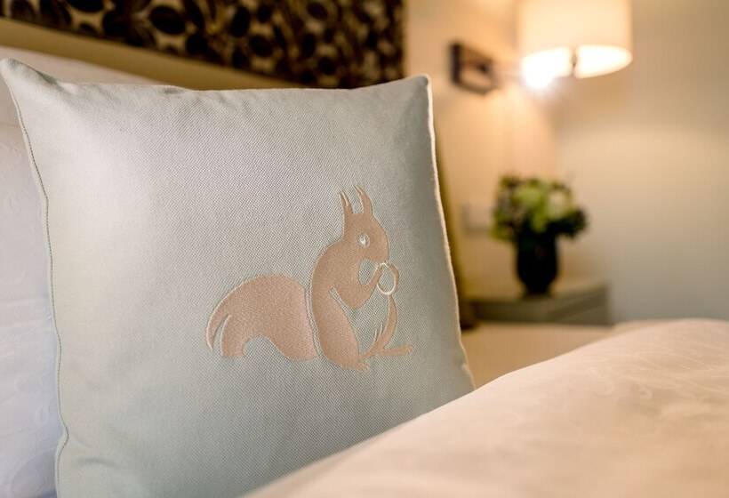 标准间, Parkhotel Rothof