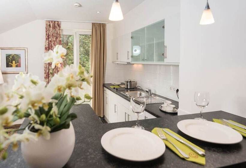 带1个卧室的公寓, Parkhotel Rothof