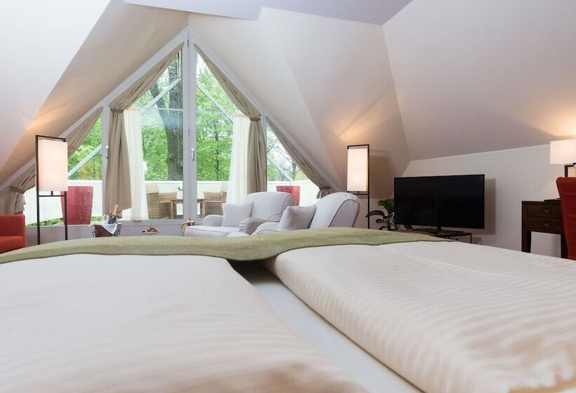 Номер Стандарт, Parkhotel Rothof