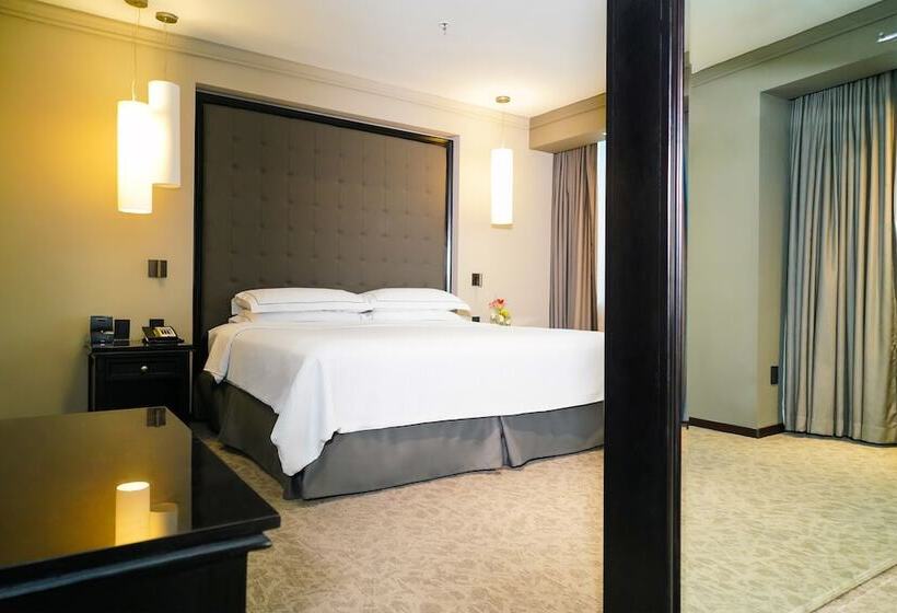 جناح بريميوم, Barceló Mexico Reforma