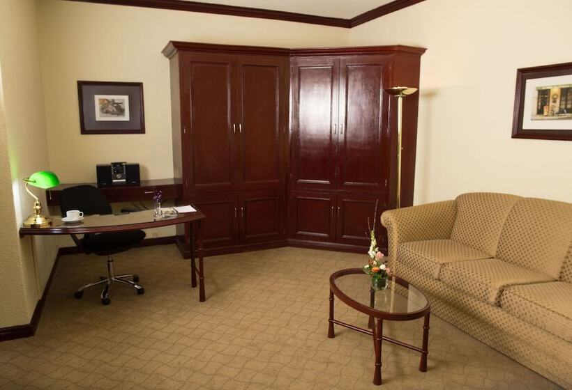 سوییت جونیور, Las Americas