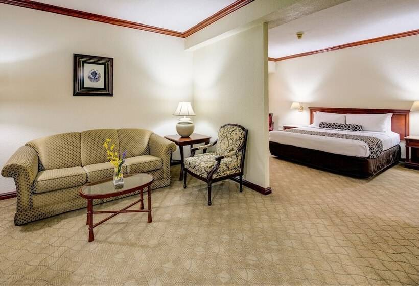 سوییت جونیور, Las Americas