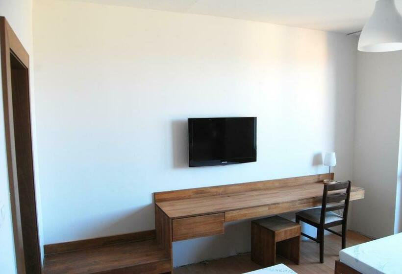 スタンダードルーム, Lineas