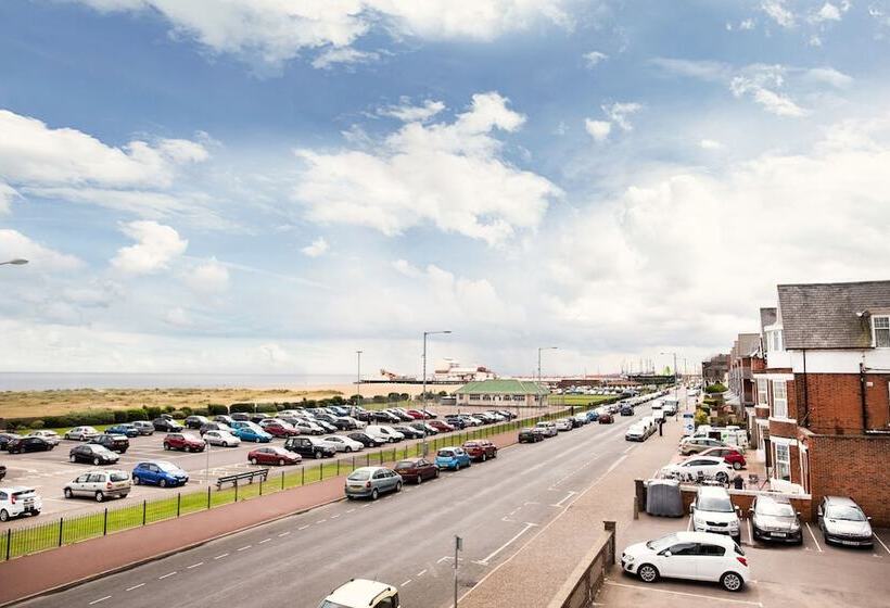 스탠다드 싱글 룸, Palm Court