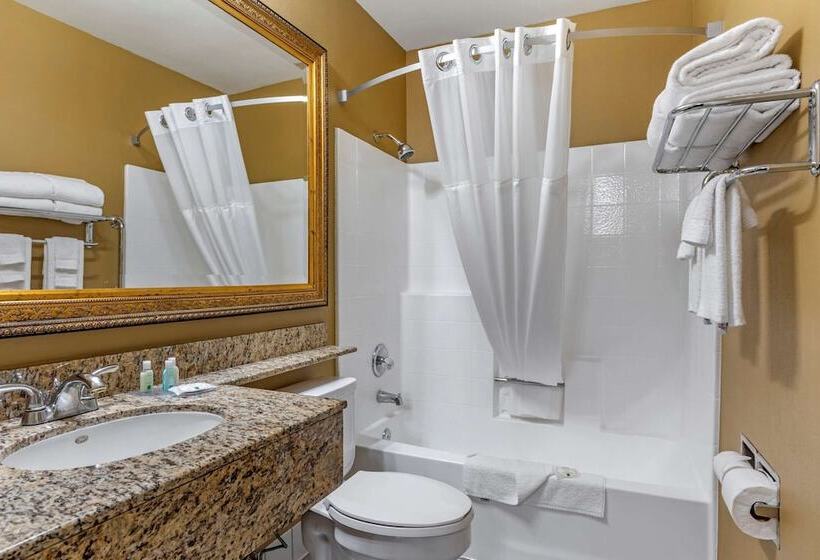Люкс, Quality Inn & Suites Westminster Seal Beach