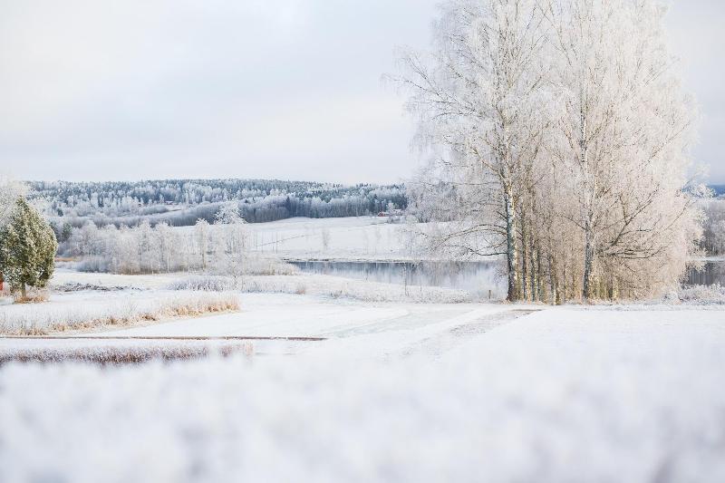 1 Yatak Odalı Daire, Seminaris Hotel Bad Boll