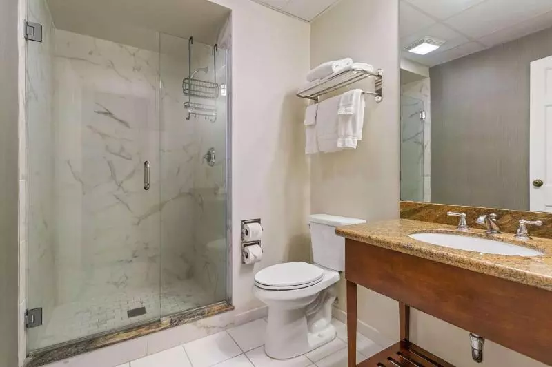 اتاق استاندارد با تخت بزرگ, The Lafayette New Orleans By Kasa