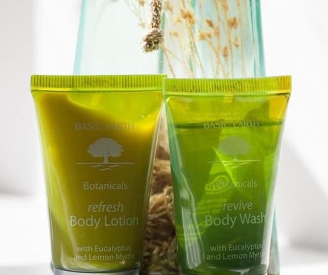 غرفة ديلوكس, The Wellington