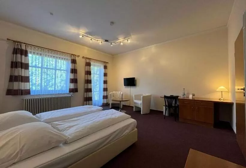 Standardzimmer mit Balkon, Liszt