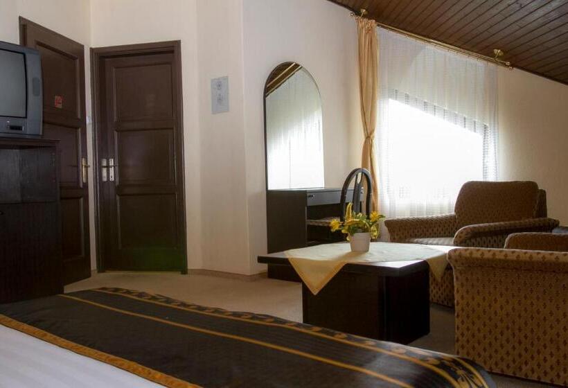 اتاق استاندارد سه نفره, Molnár