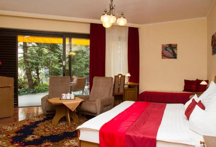 اتاق استاندارد چهار تخته, Molnár