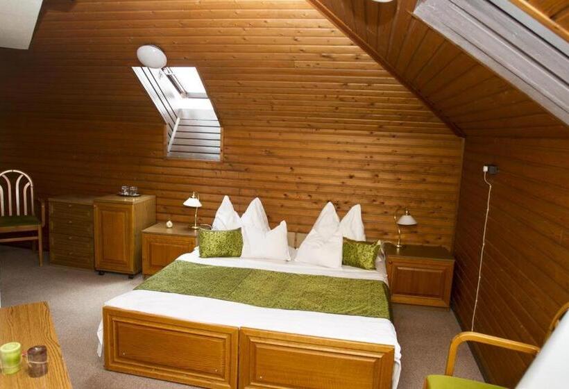 اتاق استاندارد یک نفره, Molnár