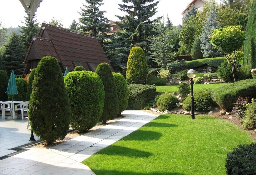 اتاق سوپریور سه تخته, Molnár