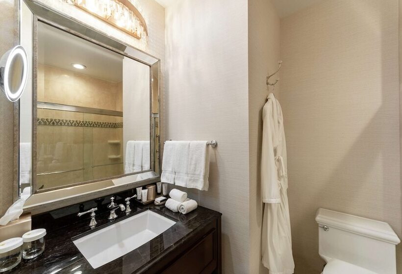 חדר דלוקס, The Roosevelt New Orleans  A Waldorf Astoria