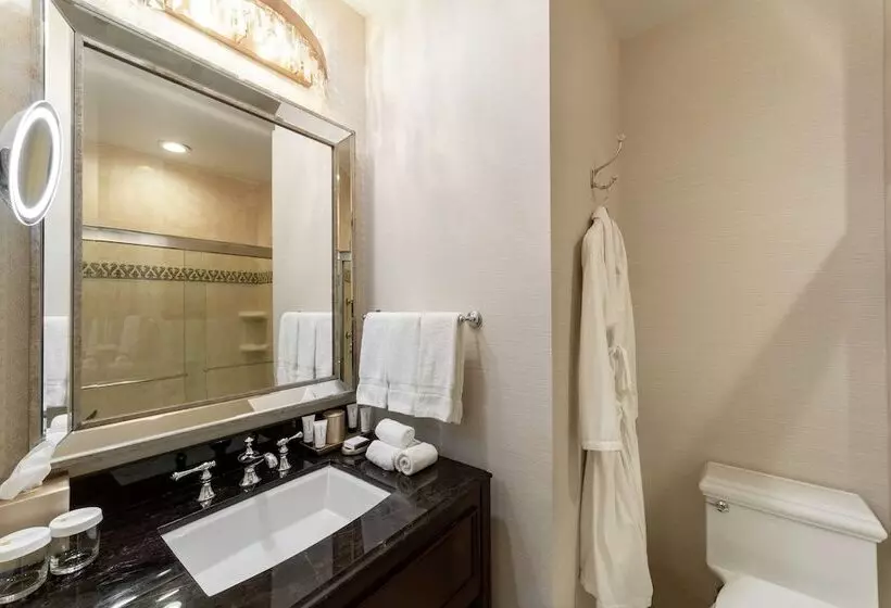 デラックスルーム, The Roosevelt New Orleans  A Waldorf Astoria