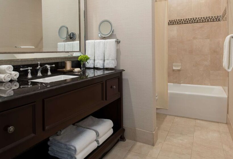 غرفة ديلوكس لذوى الاحتياجات الخاصة, The Roosevelt New Orleans  A Waldorf Astoria