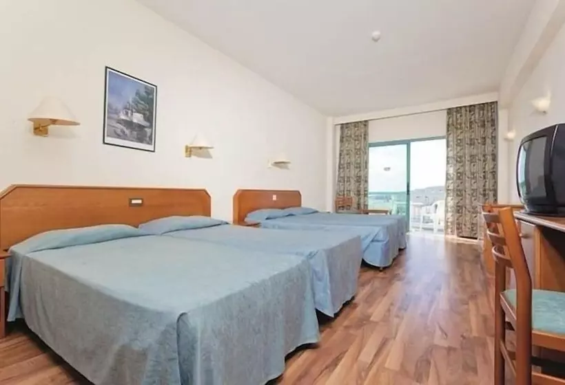 Quarto Familiar, Antigoni