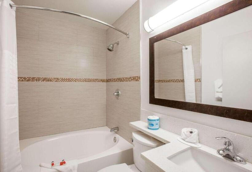 جناح سرير كينج, Days Inn By Wyndham Orange Anaheim