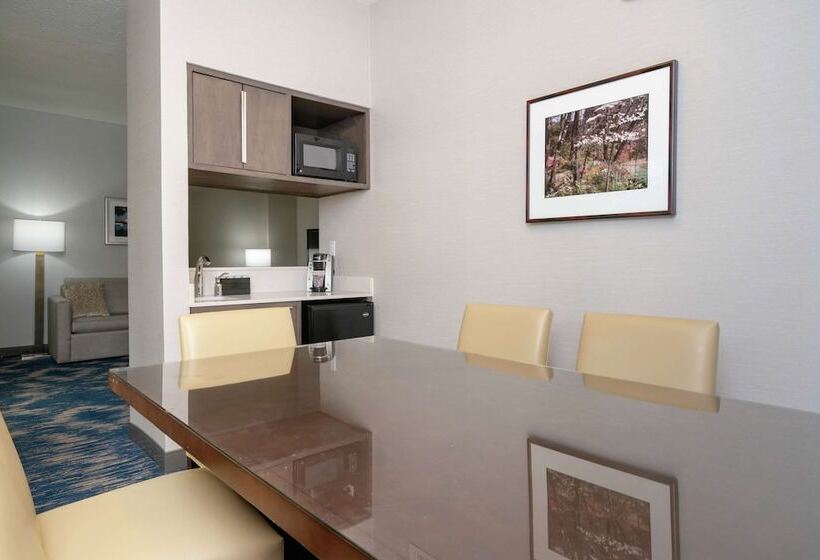 带阳台套房, Embassy Suites By Hilton Alexandria Old Town