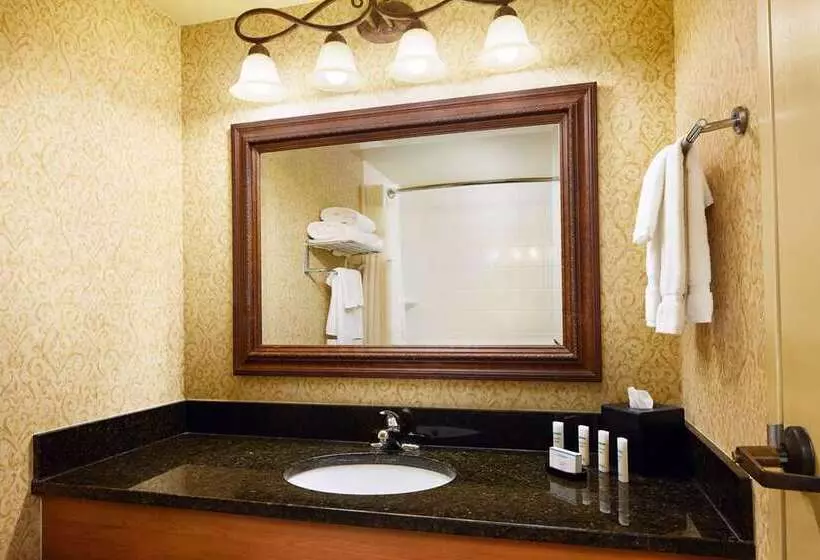 سوئیت اجرایی با تخت کینگ, Embassy Suites By Hilton Alexandria Old Town