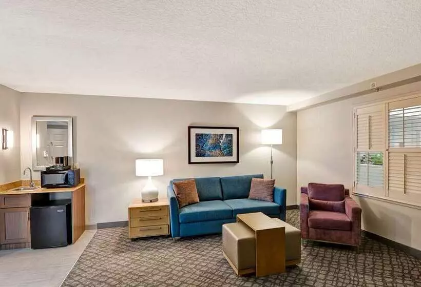 سوئیت با تخت بزرگ, Embassy Suites By Hilton Alexandria Old Town