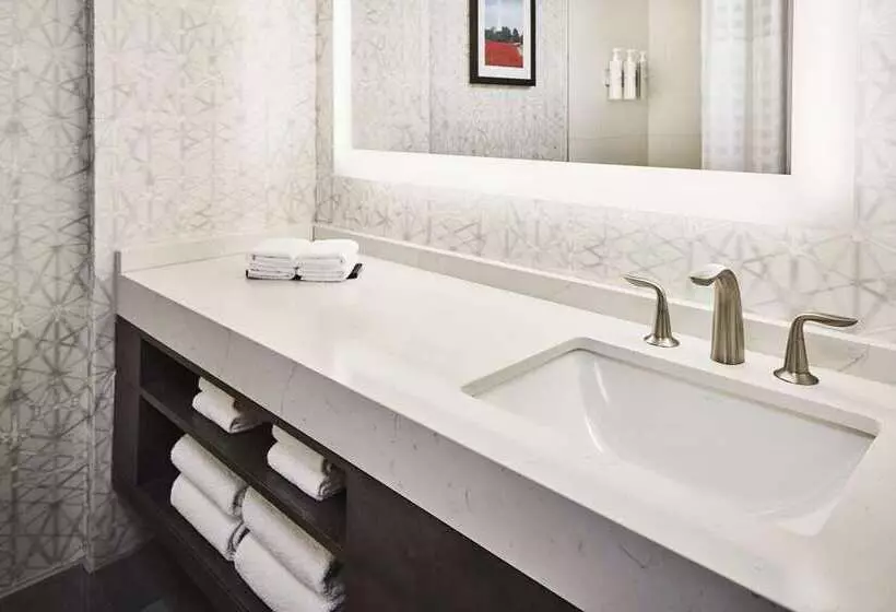 سوئیت با تخت بزرگ, Embassy Suites By Hilton Alexandria Old Town