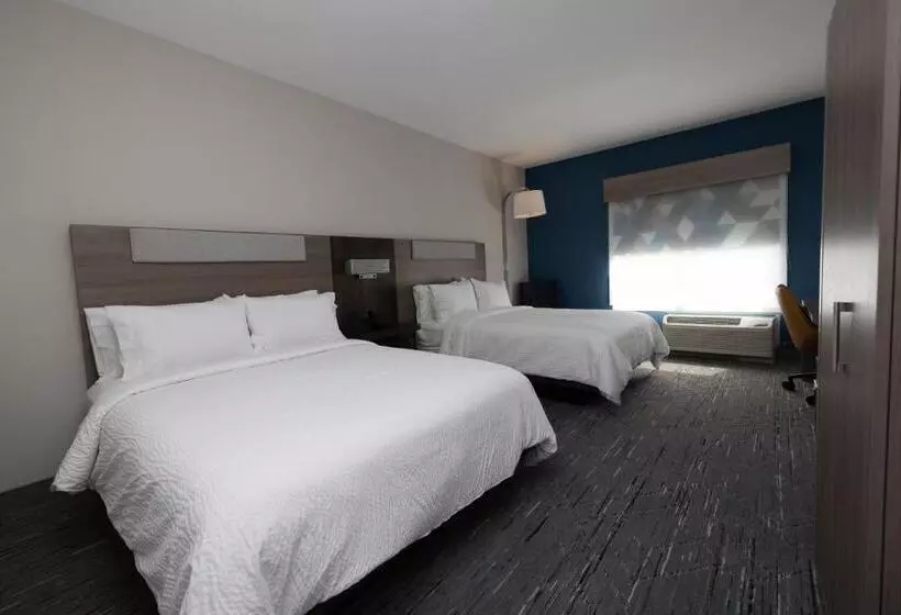 スタンダードルーム, Holiday Inn Express & Suites Tampa Stadium   Airport Area, An Ihg