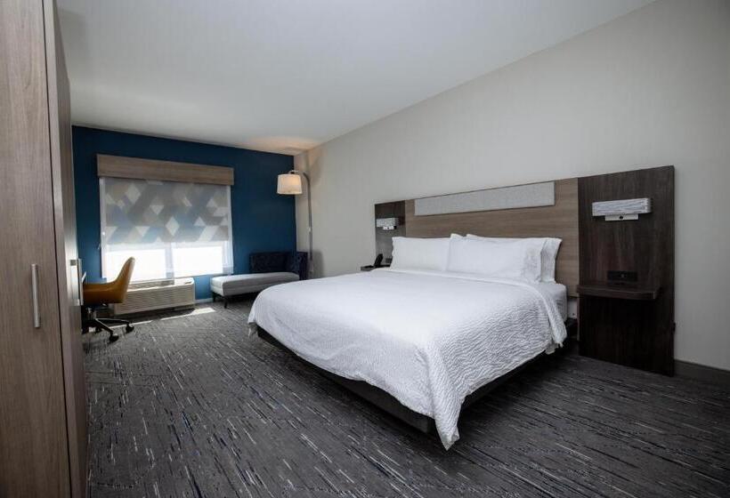 キングサイズベッドのスタンダードルーム, Holiday Inn Express & Suites Tampa Stadium   Airport Area, An Ihg